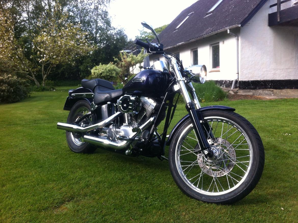 Harley Davidson Fxst softail billede 15