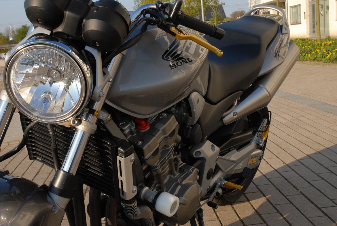 Honda CB900 hornet billede 2