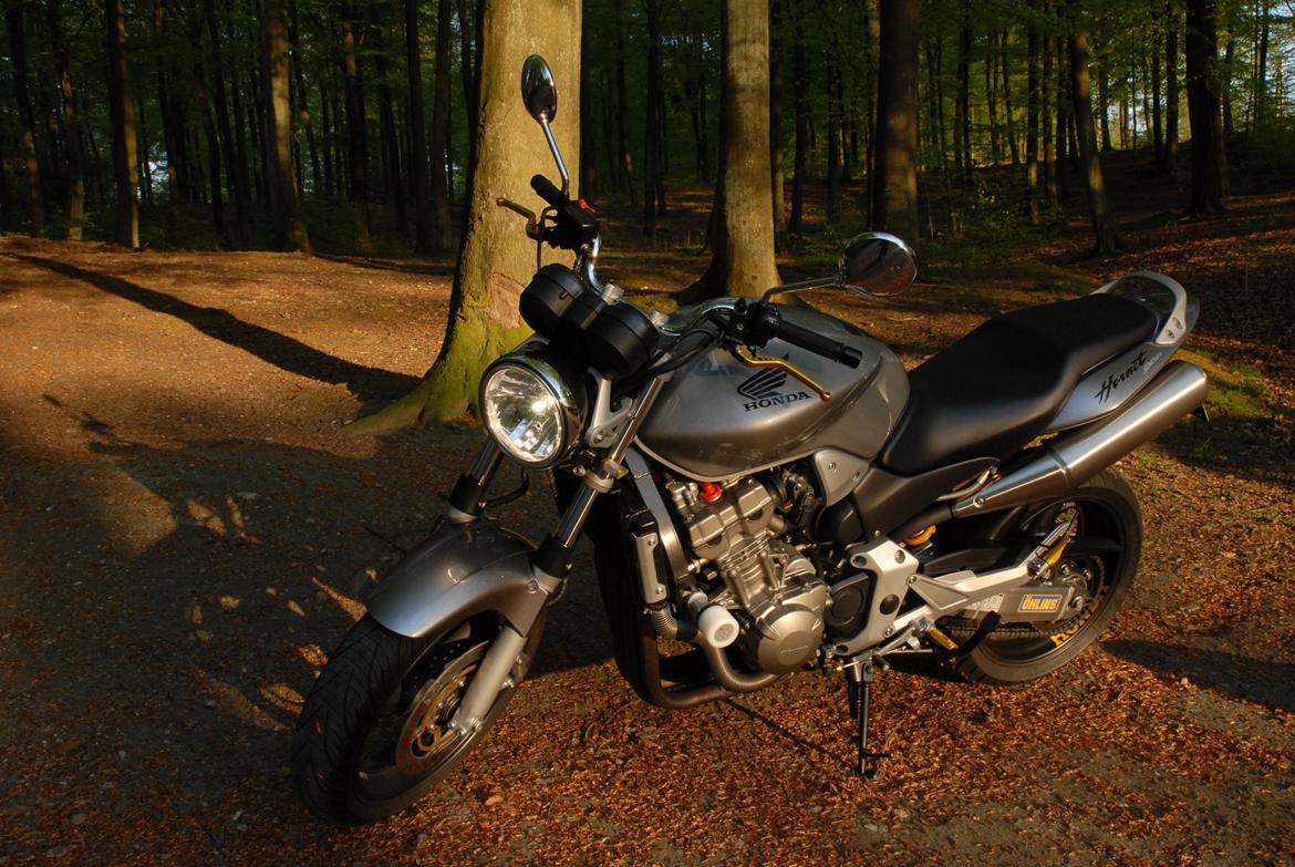 Honda CB900 hornet billede 9