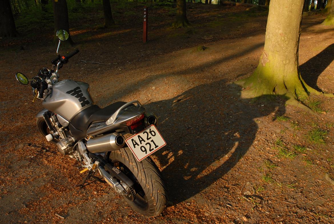 Honda CB900 hornet billede 12