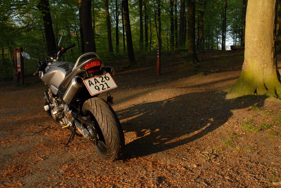 Honda CB900 hornet billede 11