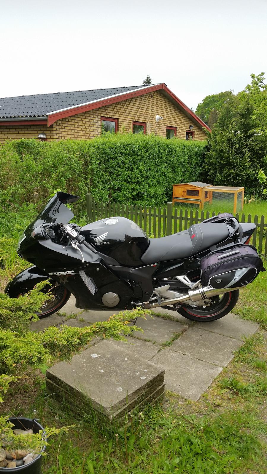 Honda 1100 XX Super blackbird - Også fuld bilede med det nye sæde  billede 2