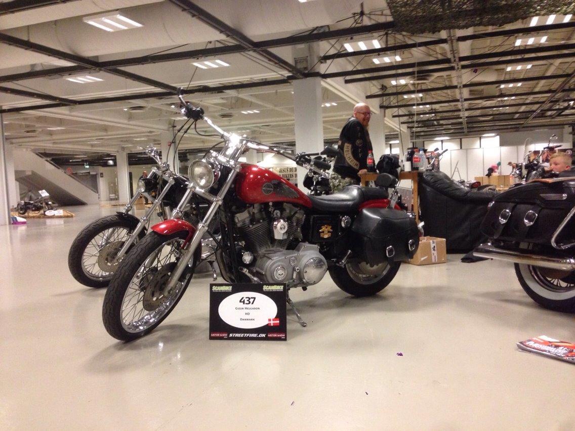 Harley Davidson Sportster billede 2