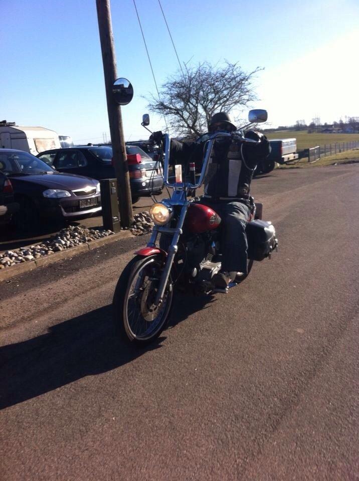 Harley Davidson Sportster billede 7