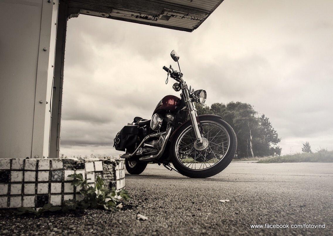 Harley Davidson Sportster billede 8