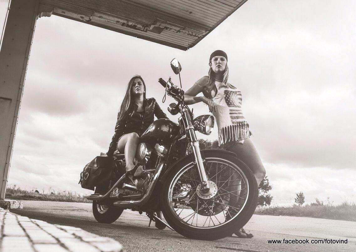 Harley Davidson Sportster billede 9