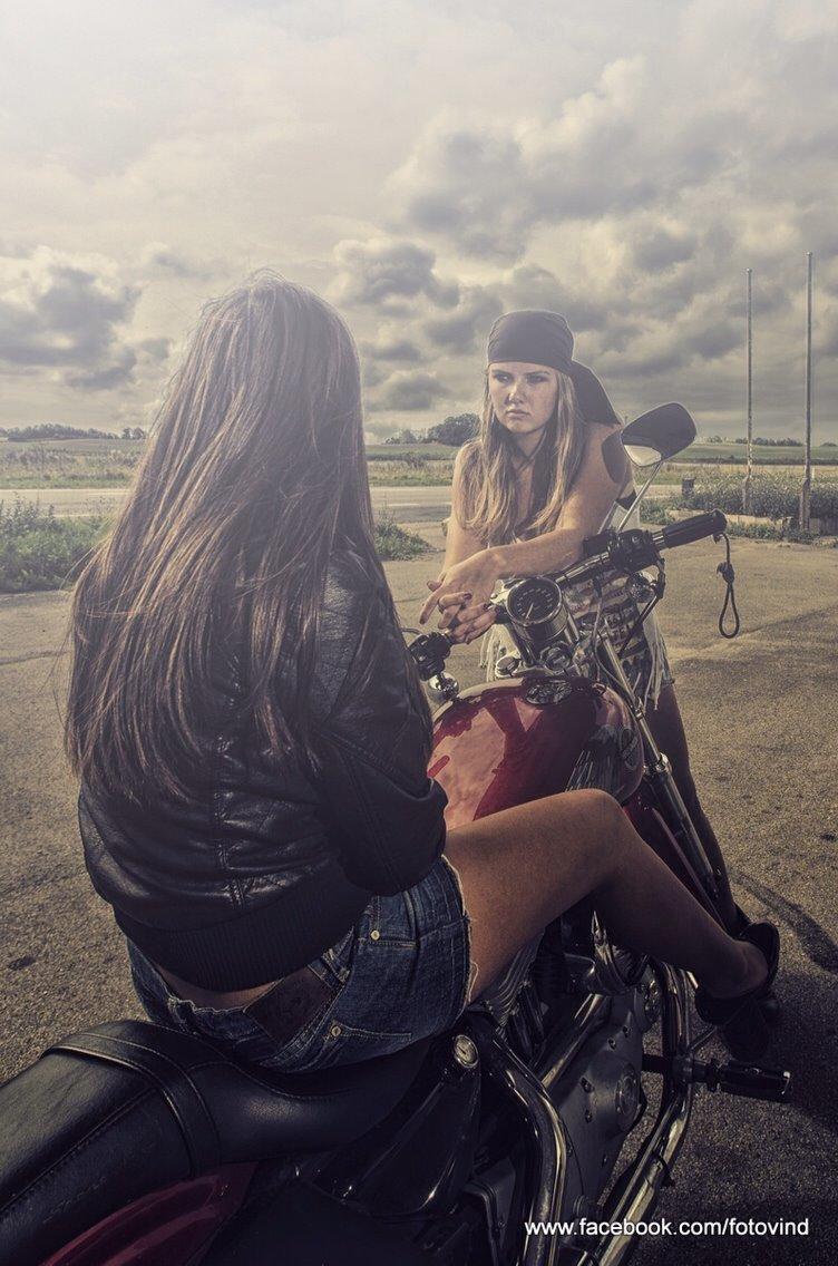 Harley Davidson Sportster billede 10