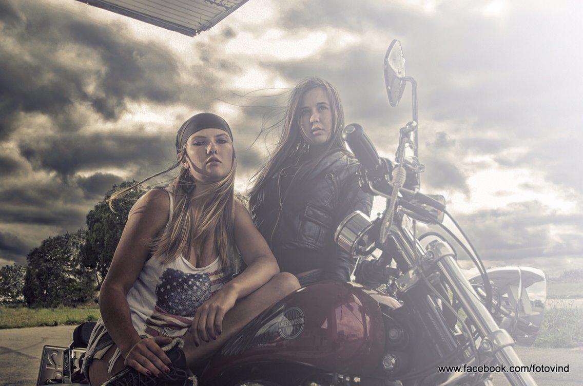 Harley Davidson Sportster billede 11