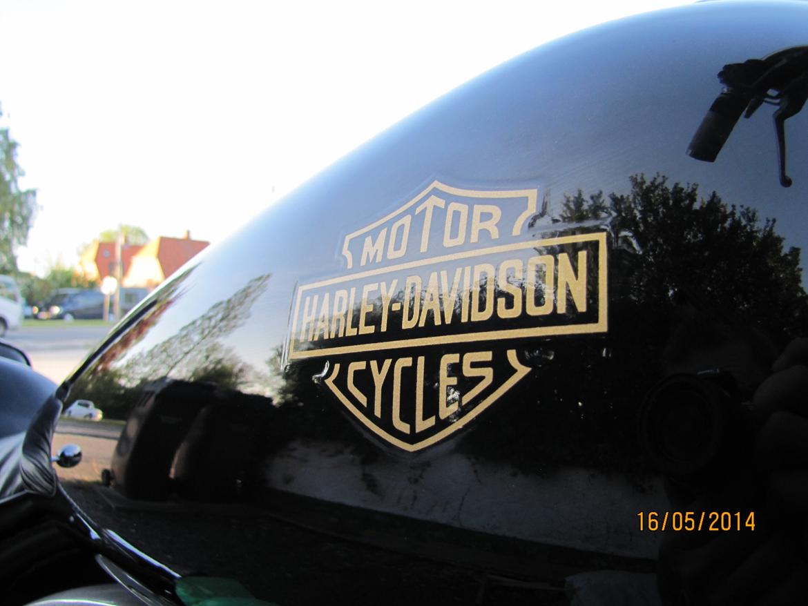 Harley Davidson FXR billede 5