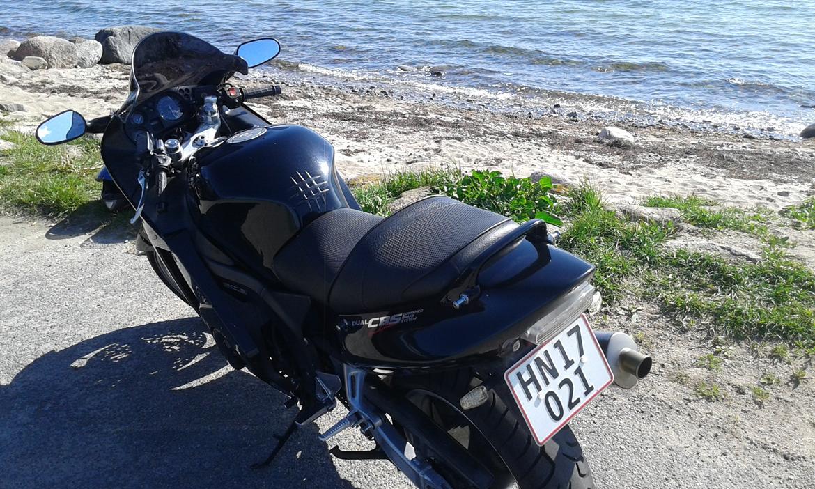 Honda CBR 1100XX Blackbird billede 9