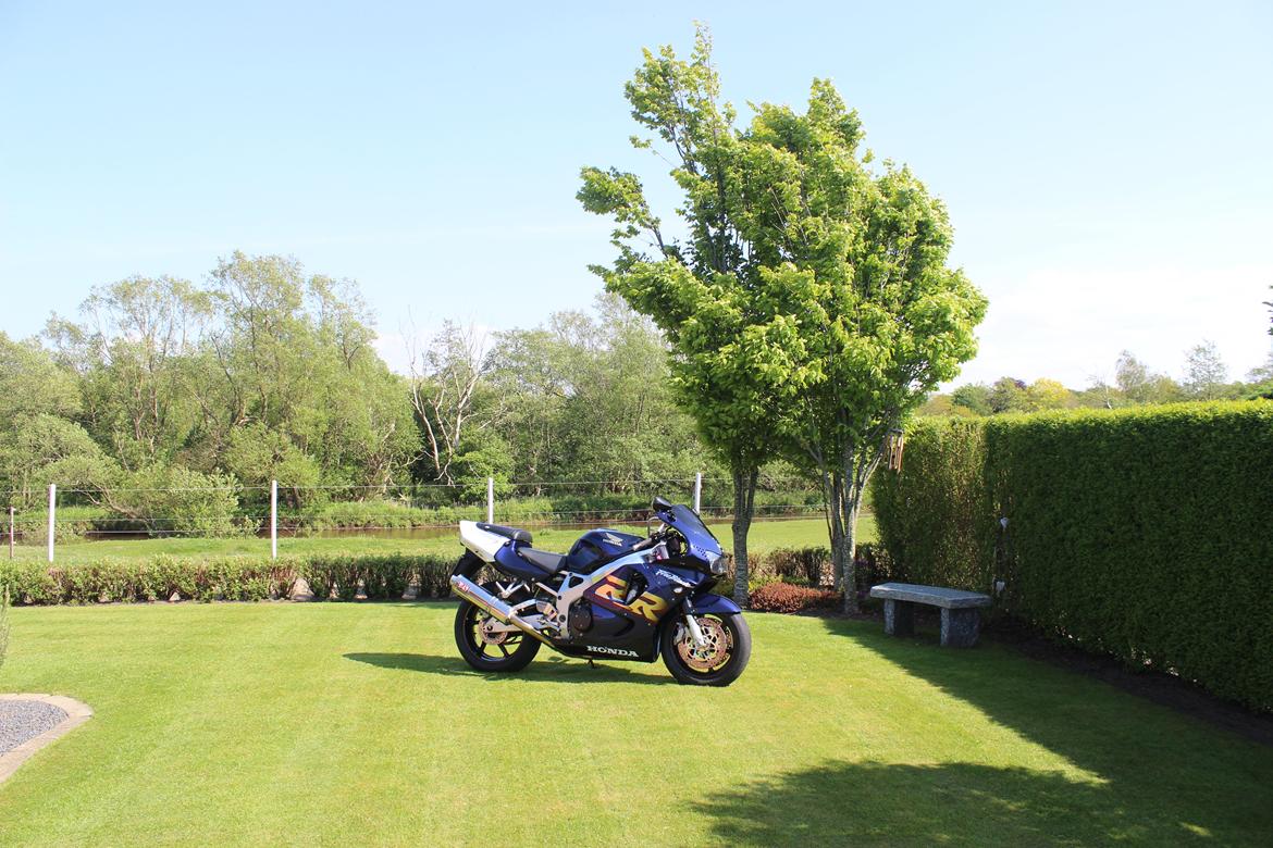 Honda CBR 900 RR FIREBLADE billede 7