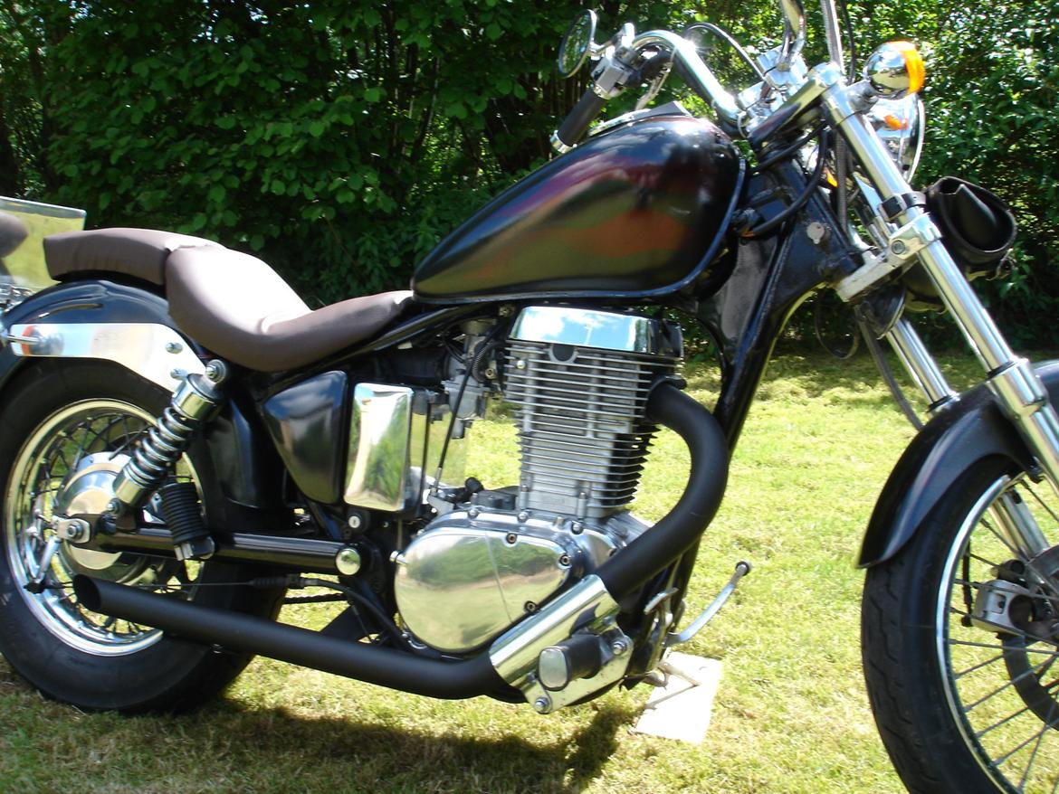 Suzuki LS 650 Savage billede 1