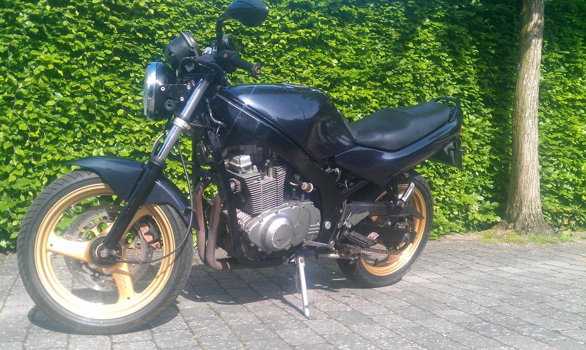 Suzuki GS 500 E billede 8