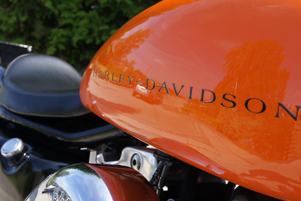 Harley Davidson Sportster XLS Iron Tidligere billede 3