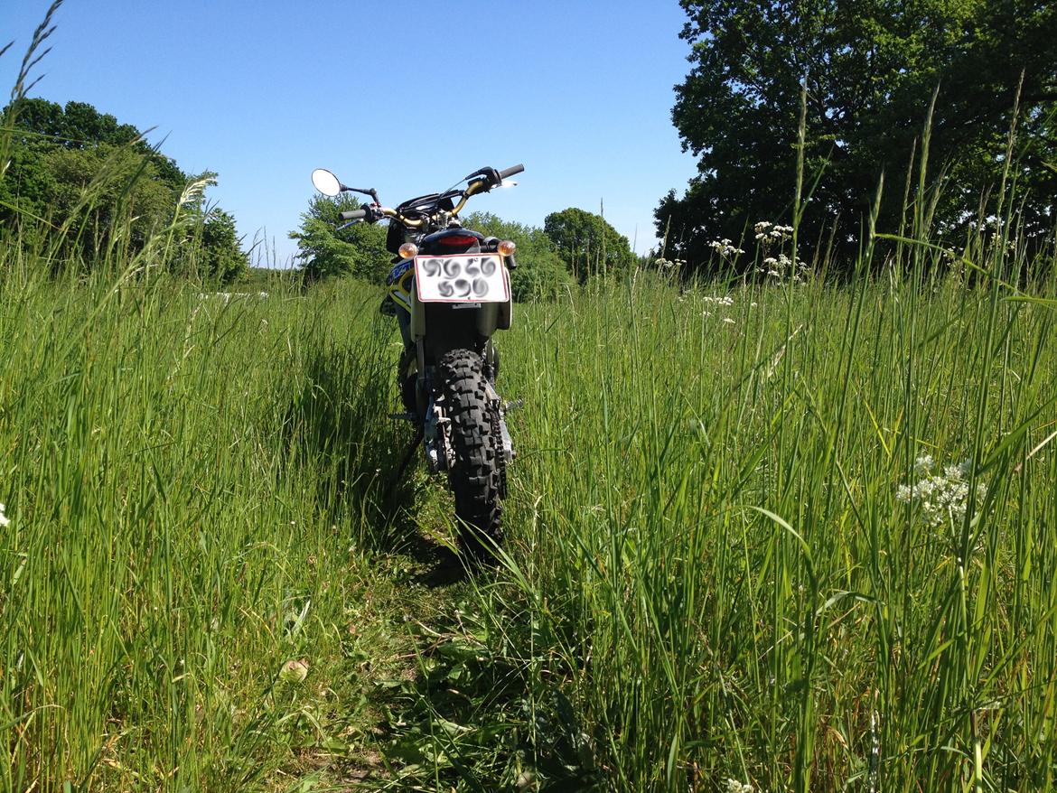 Husqvarna WR 250 billede 14