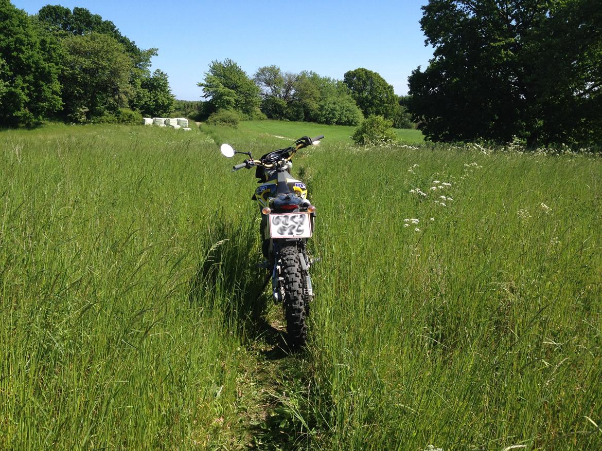 Husqvarna WR 250 billede 13