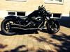 Suzuki M800 black edition