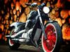 Honda vt600 shadow