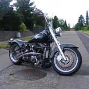 Harley Davidson blandet