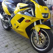 Yamaha FZR 1000 BUMBLEBEE