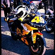 Yamaha R6 *Rossi* Nr.1201