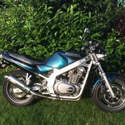 Suzuki GS 500 Eu