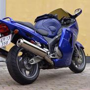 Honda Blackbird