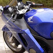 Honda Blackbird