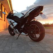 Kawasaki Zx6r