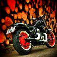 Honda vt600 shadow