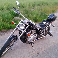 Suzuki VS 800 /// SOLGT