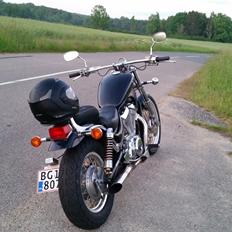Suzuki VS 800 /// SOLGT