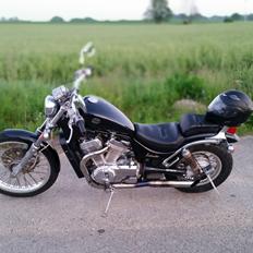 Suzuki VS 800 /// SOLGT