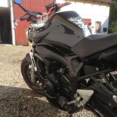 Yamaha fz6 n (MC nr.2)