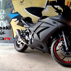 Kawasaki Ninja 250R