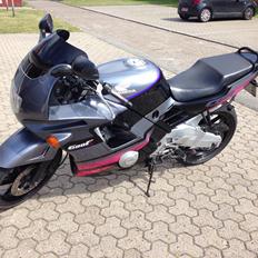 Honda Cbr 600 f2