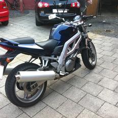 Suzuki SV1000N