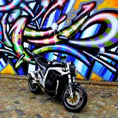 Suzuki GSXR 1100 Streetfighter