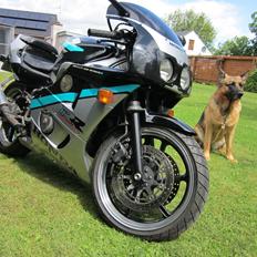 Honda CBR 400RR NC-29
