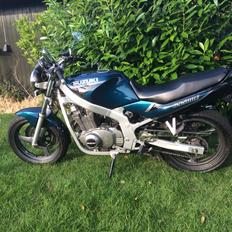 Suzuki GS 500 Eu