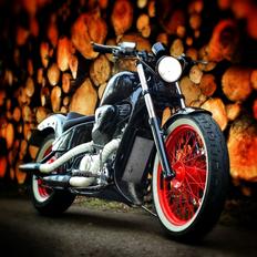 Honda vt600 shadow