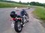 Suzuki VS 800 /// SOLGT