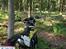 Husqvarna WR 250