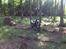 Husqvarna WR 250