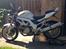 Suzuki SV1000 N
