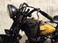 Harley Davidson 45" - Hotrod