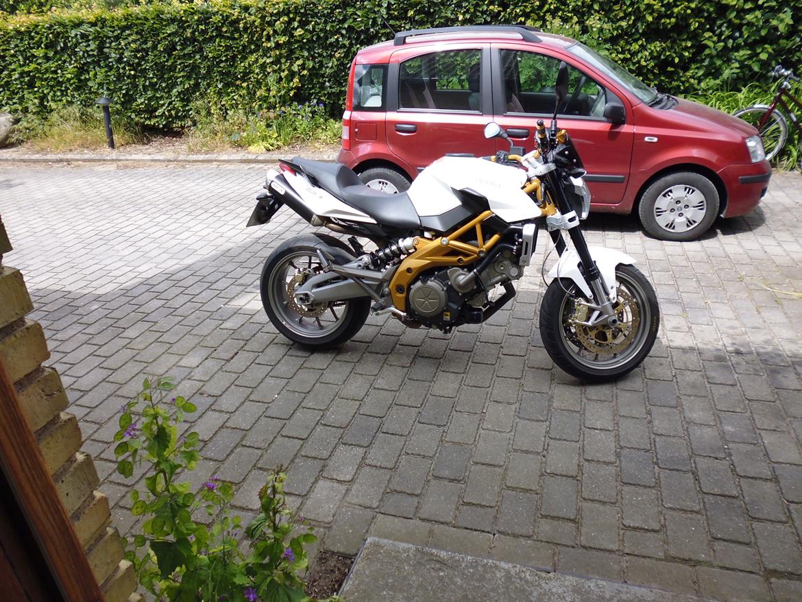Aprilia Shiver solgt billede 3