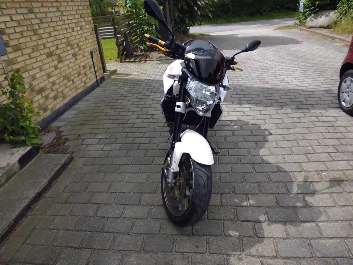 Aprilia Shiver solgt billede 5