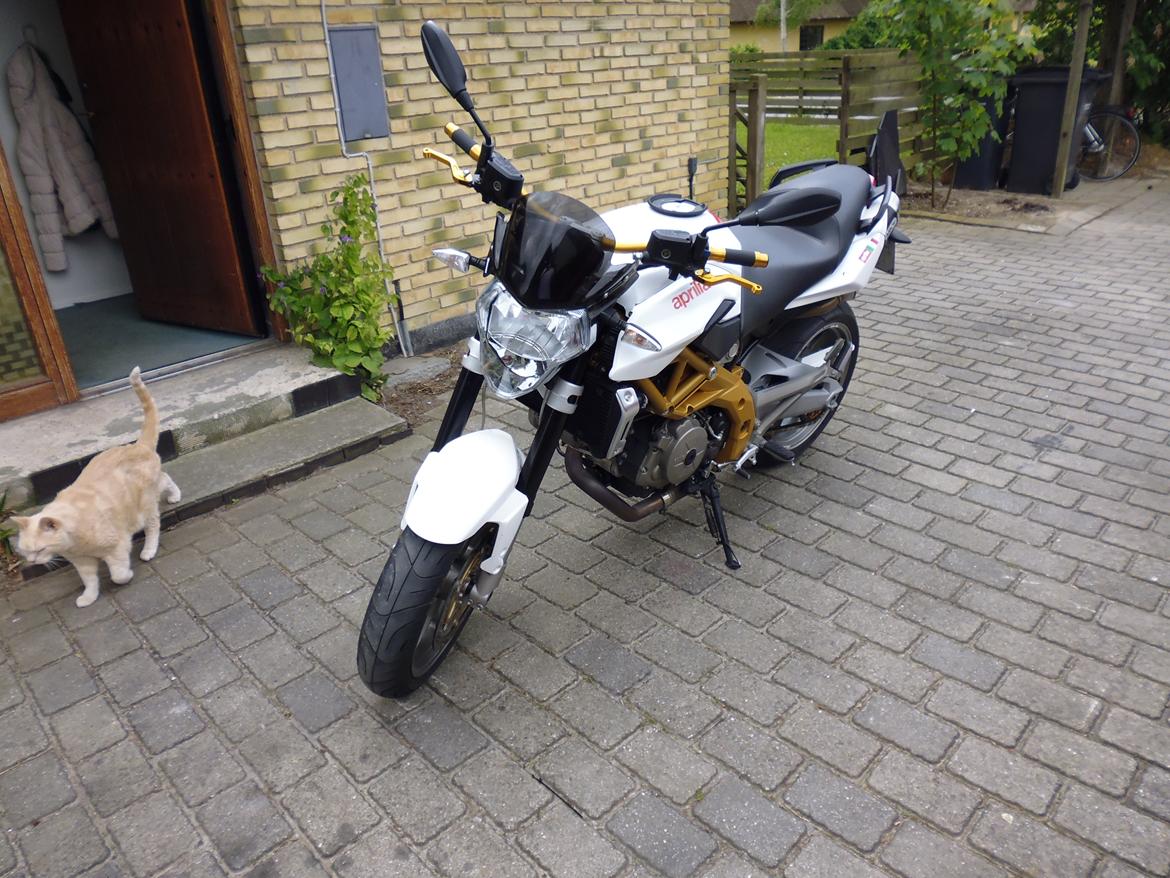 Aprilia Shiver solgt billede 6