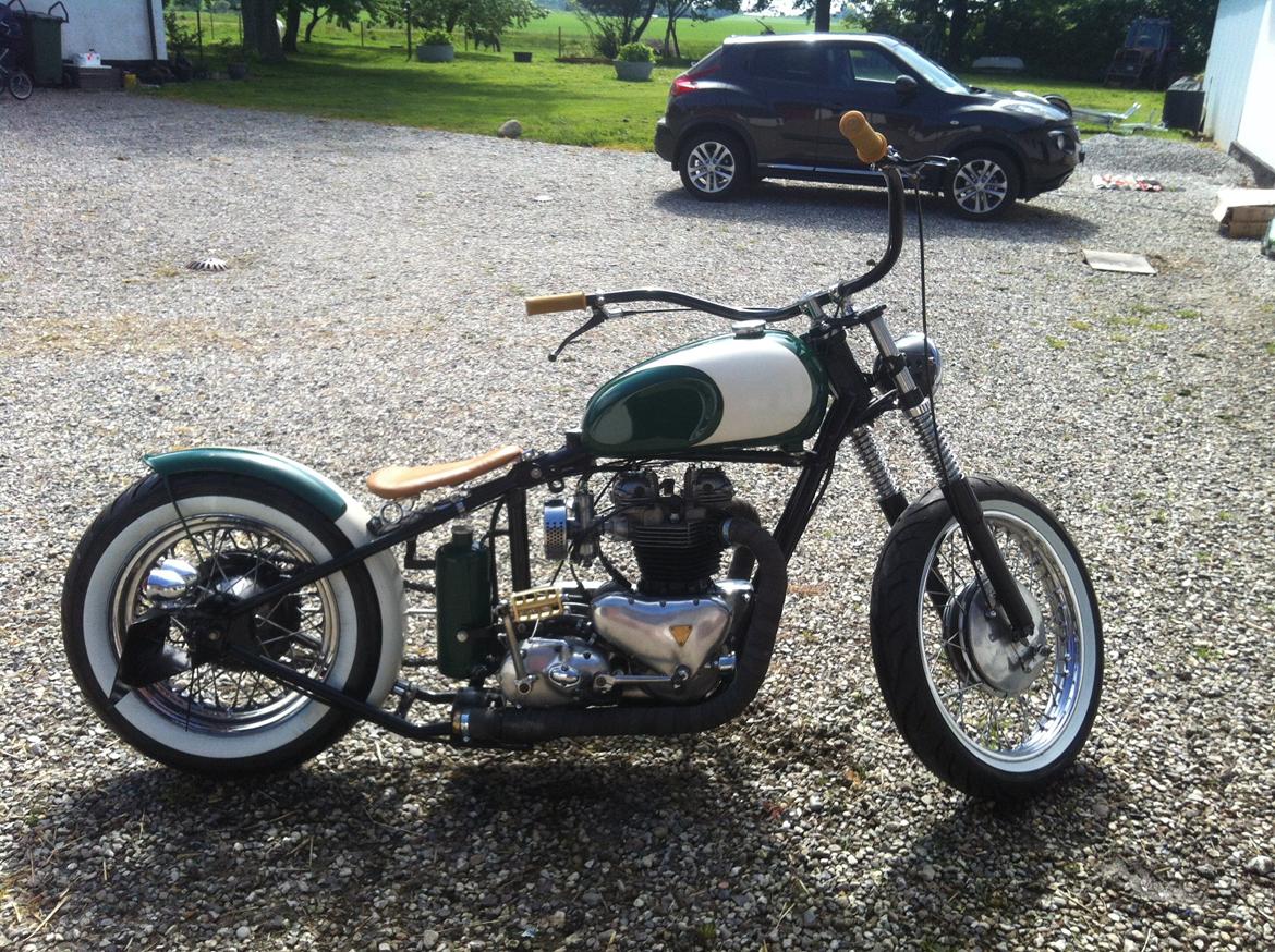 Triumph T100 Tiger Bobber  [solgt] billede 8